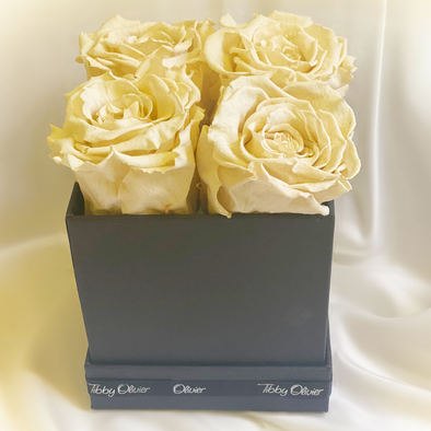 4 Piece Immortelle Rose Blossom Box - Cream - Tibby Olivier