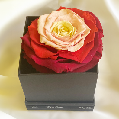 Extra Large Immortelle Rose Blossom Box - Red, Peach, Cream - Tibby Olivier
