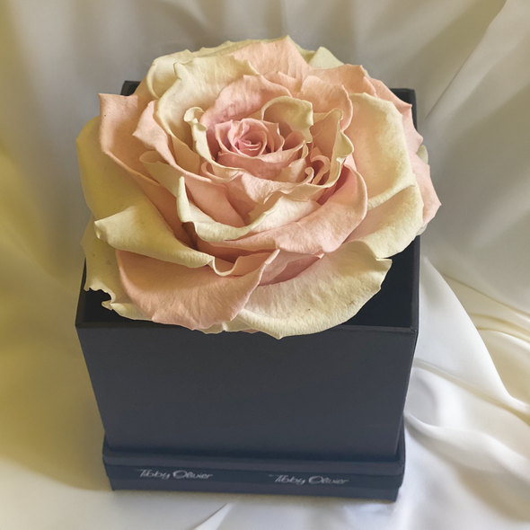 Extra Large Immortelle Rose Blossom Box - Baby Pink - Tibby Olivier