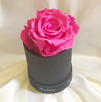 Individual Immortelle Rose Box - Black Box – Hot Pink - Tibby Olivier